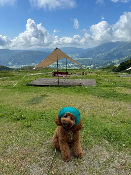hakubamountainresort